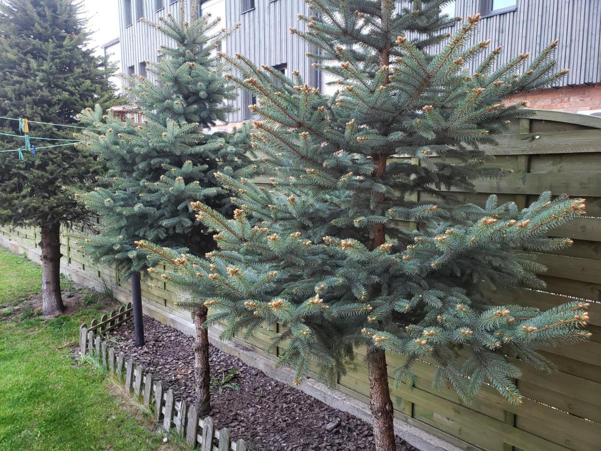 Apartament Aga13 Mikołajki المظهر الخارجي الصورة